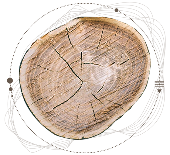 yy易游体育app登录